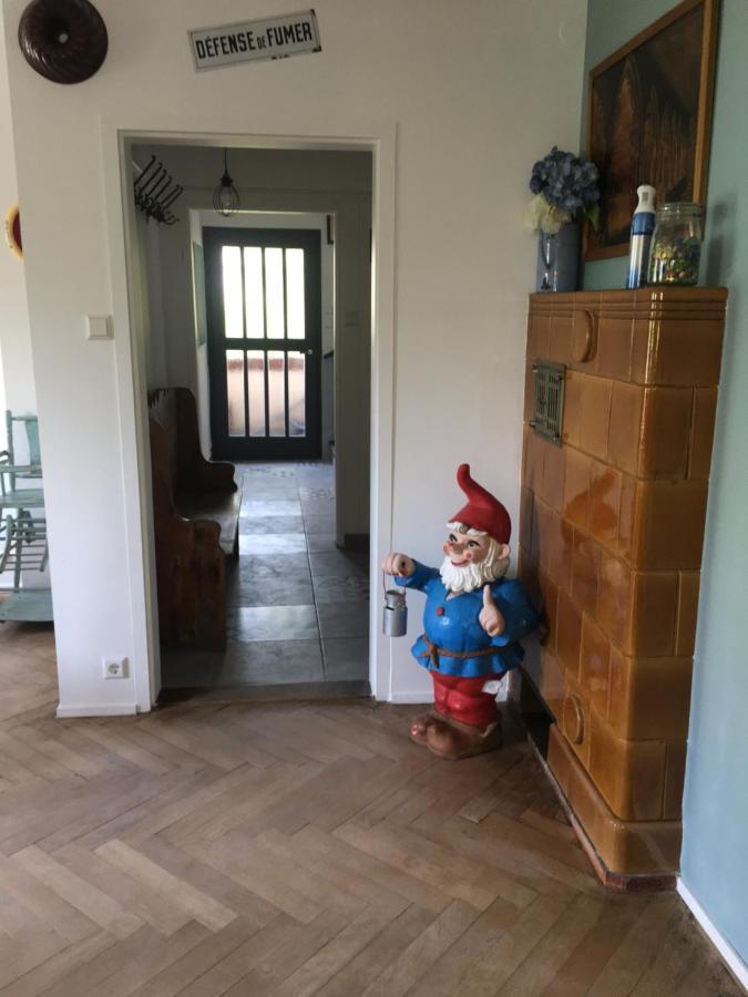 Villa chalet montségur à Colmar Extérieur photo